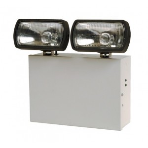 TS20 High Output Non-Maintained 2 x 20W Tungsten Halogen Twin Spot Light (1 / 3 Hour)